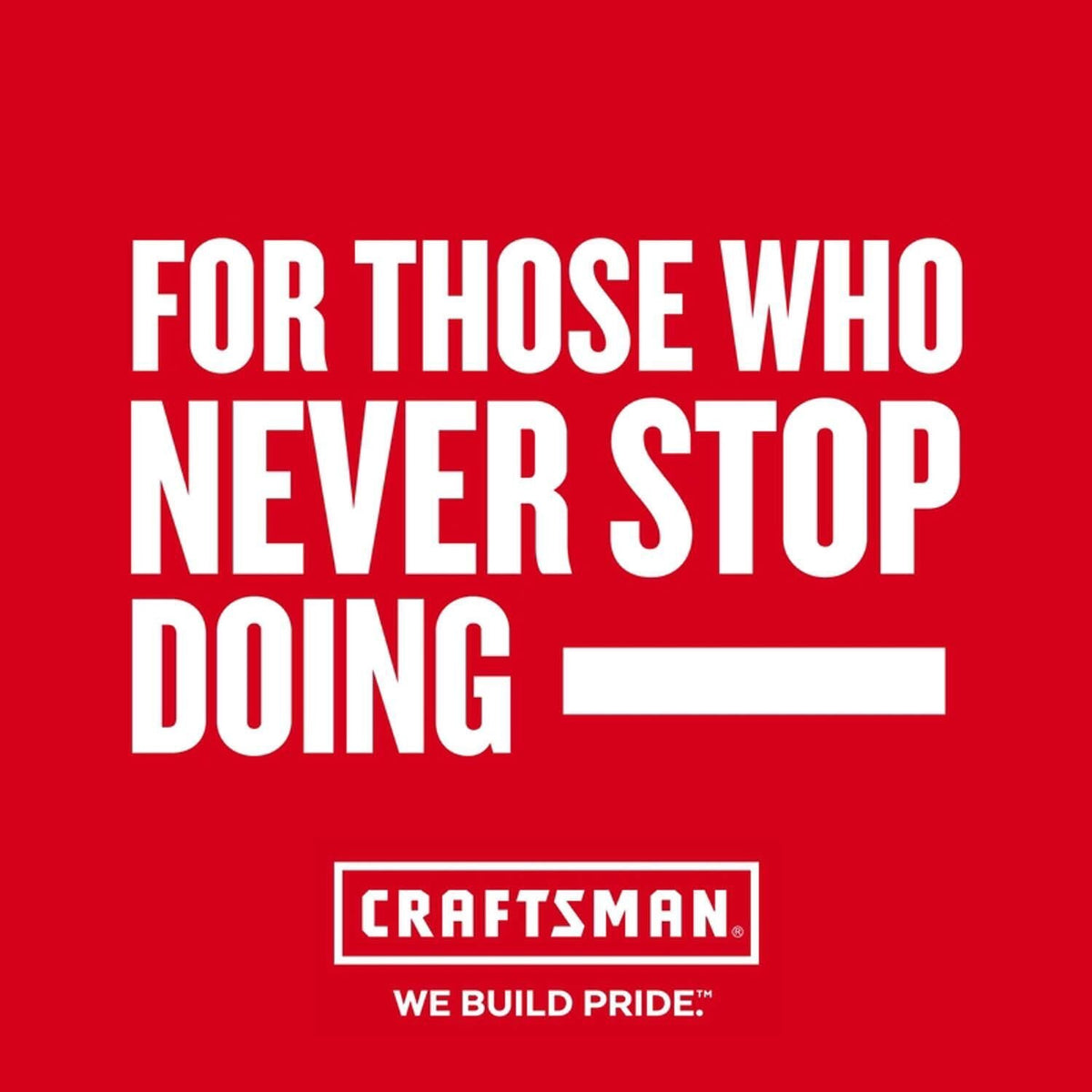 CRAFTSMAN V20* 4.0Ah Lithium Ion Battery (2-Pack) – Reconditioned